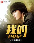 我的1982免费阅读笔趣阁