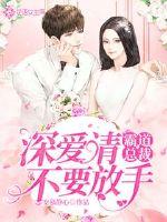 霸道总裁深爱请不要放手
