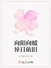 向暖向阳小说