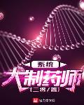 大制药师系统二将