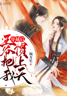 穿越后我给王爷当家做主小说