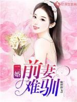 顾总的二婚前妻