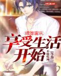 成首富从精灵开始