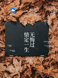 沈蔓歌叶南弦大结局是什么