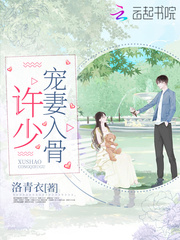 许少宠妻入骨小说