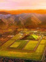 影卫小说免费观看