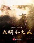 大明文人的处境