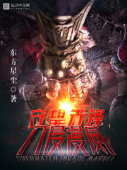 守望先锋入侵美漫小说免费下载