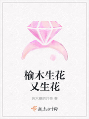 榆木先生漫画价格