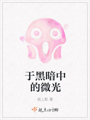 于黑暗中的微光作文