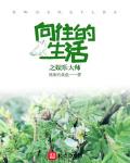 向往的生活之娱乐大师小说免费阅读