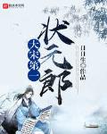 大宋第一状元郎加料版笔趣阁