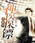 空姐的神医保镖阅读