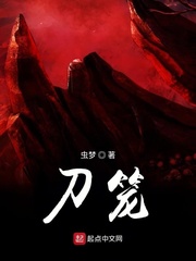 刀笼小说全文免费阅读百度云