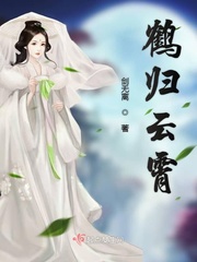 鹤归闲云的小说