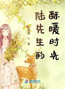 陆先生的深情 小说