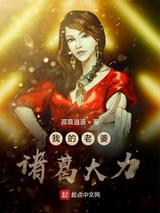 我的女友诸葛大力林凡免费