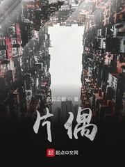偶振雨小说免费阅读