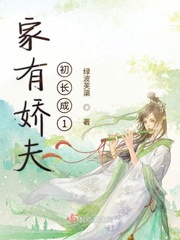 家有娇夫沈爱