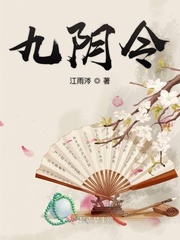 九阴九阳小说在线阅读