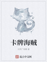 海贼之牌皇 小说