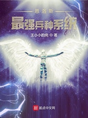 罗恩兵装装备推荐