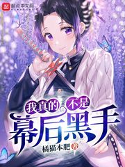 我真的不是幕后黑手小说