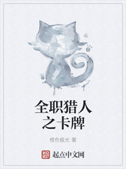 全职猎人 卡牌游戏