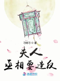 夫人宠不得!