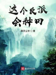 这个反派有良心但不多的小说