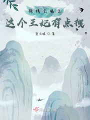 锦绣王妃讲的是什么