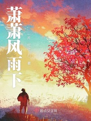 萧萧风雨声小说
