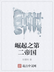 崛起之第三帝国精校版