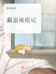 猫崽流浪记小说全本阅读