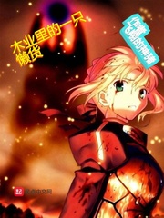 木叶之懒遁 小说