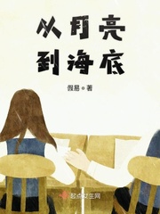 月亮从海面升起的诗句