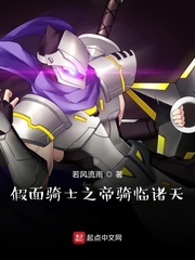 关于假面骑士帝骑的小说