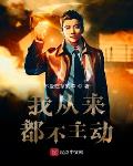小说我从来都不主动