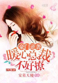 豪门暖婚全文阅读