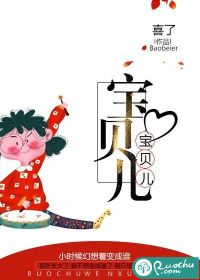 小宝贝小说