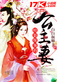 暗影统领的公主妻评价