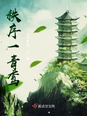 沈青鸾小说免费阅读