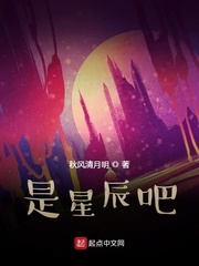 牧场物语星夜祭