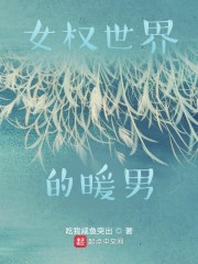 女权世界的男频小说