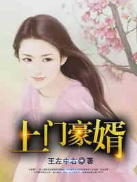 上门豪婿凌天辰全文免费听