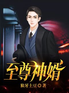 至尊神婿叶昊郑漫儿小说全文免费阅读