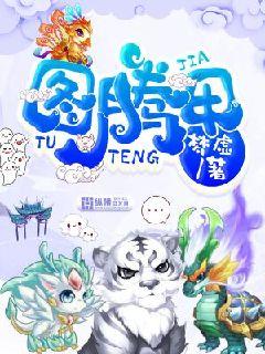 图腾王小说
