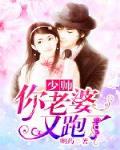 少帅你老婆又跑了txt百度云