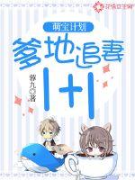 萌宝计划:爹地追妻1+1