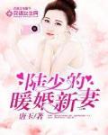 陆少的暖婚新妻苏简安陆薄言第一次第几章?